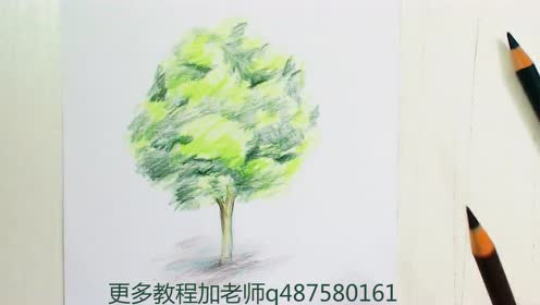 彩铅教程-教你画一棵树