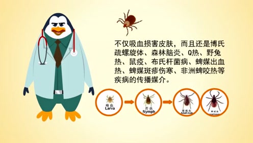 科普|被蜱虫咬了怎么办