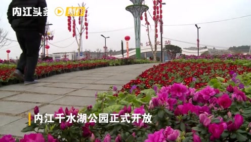 内江千水湖公园正式开放