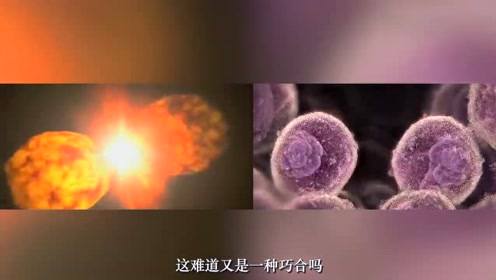 大脑的结构与宇宙的结构极其相似？那宇宙的背后到底是谁在操控？