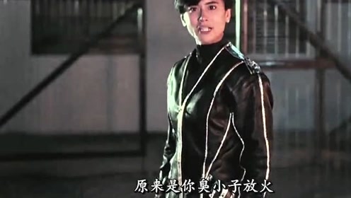 力王火烧罂粟园,黄泉赶来后心痛不已