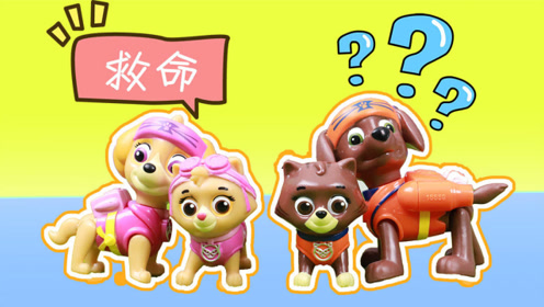 奥特曼钱包寻宝!汪汪队毛毛分享赛尔号奇趣蛋玩具视频