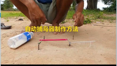 自动捕鸟器的制作方法