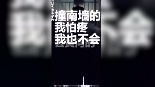 我肯定是不会去撞南墙的,我怕疼
