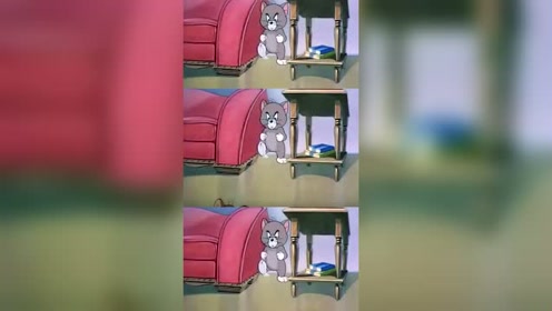 猫和老鼠:这里有一只小奶猫托普斯!简直就是汤姆的翻版!