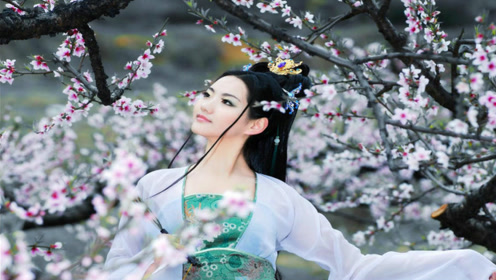 星月组合一曲《梨花飘》恋上落花,从此只为你相思和牵挂