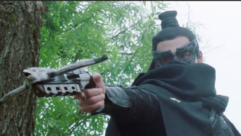 小女花不弃:张彬彬神仙弩威力巨大,竟然一剑射飞蒙面人!