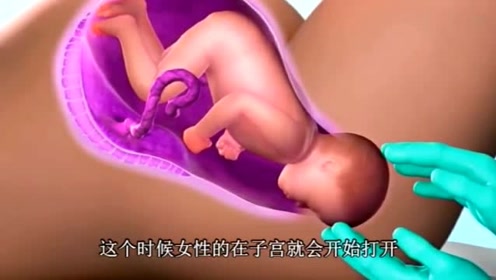 女人生孩子到底有多疼?3d演示全过程让人心疼,母亲真的很伟大