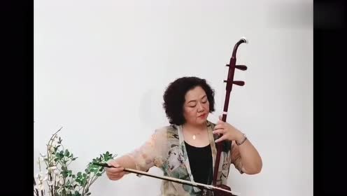 阿姨二胡独奏《西海情歌》,听得如痴如醉,百听不厌!