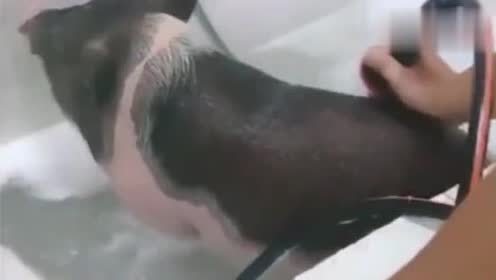别乱说话,我有你洗澡的视频