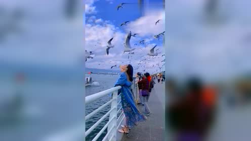 古有鸳鸯戏水,现有美女戏海鸥,这画镜,仿佛置身于人间仙境
