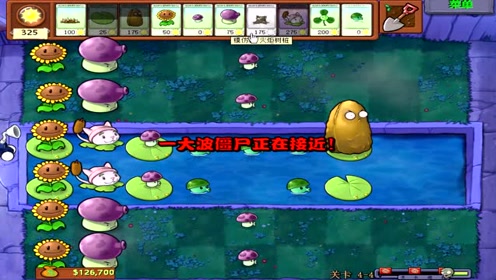 植物大战僵尸 坐气球与骑海豚的僵尸到来 高坚果坚持住