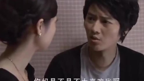 温柔的诱惑:天鸽母女的笑声,让杨光开始怀疑,这一切是不是假的