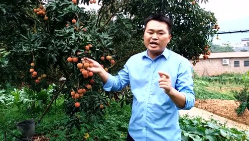 20万一台的小鹏汽车惊现茂名,会自动泊车啊