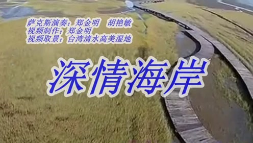 萨克斯演奏《深情海岸》(视频制作郑金明)