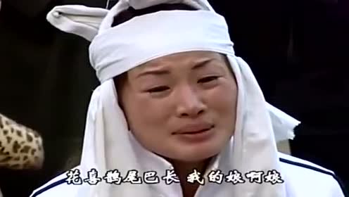 民间小调《杏花女哭灵》孝女选段,在儿心里娘是草,唱哭所有人!