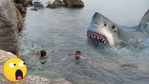 小伙海中游泳竟被鲨鱼盯上,差点被一口吞下,镜头拍下惊险一幕