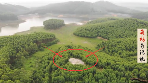 风水宝地点评:水库旁的宝地"蛟龙得水"大师:出大将的龙穴!