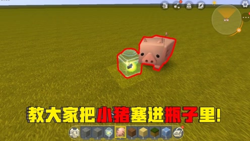迷你世界辉叔:教大家把小猪放进瓶子里,让他变成萤火虫!