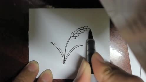 简笔画水稻,这样的画法太简单了,你学会了吗?赶紧收藏起来吧!