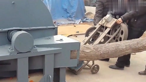 一棵树进去瞬间就被木片机切削成一堆木片!