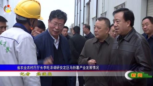 省农业农村厅厅长李旺泽调研安定区马铃薯产业发展情况