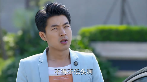 心机男放不下面子求人,想辞职走人,结果被一通电话打脸
