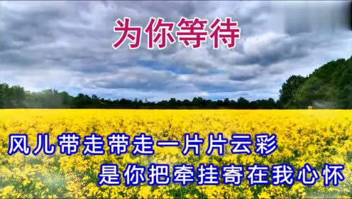 次仁央宗演唱的《为你等待》非常好听,百听不厌