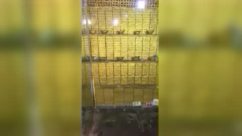 这里是明朝时期沈万三地下私人金库,据说只是一小部分