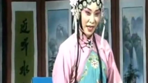 曲剧名角孔素红《窝囊丈夫恶老婆》