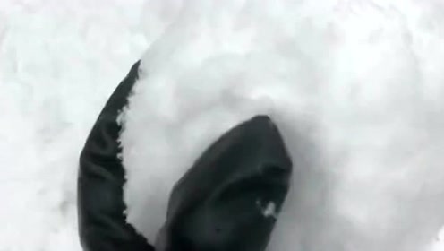 说好的我们一起打雪仗,你却偷偷的改了创意,雪球上扎满牙签还能玩吗?