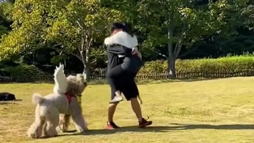 狗子看见我抱女朋友就吃醋了,非要我也抱它转圈圈,太把自己当回事了吧