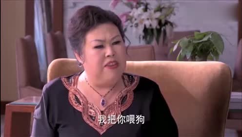 男儿膝下有黄金,贺五洲给富婆下跪被骂不敢言