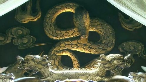 黄蟒大仙竟然直接化成人形,前年修炼的样貌居然这样?让人目瞪口呆!