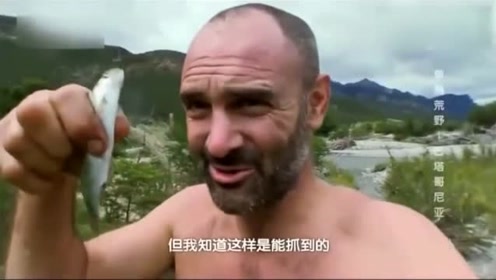 荒野求生:德哥找的食物超多,竟然还把它们养起来了,太搞笑了!