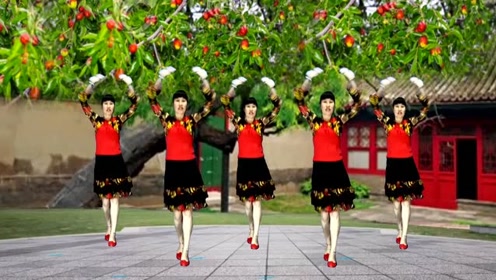 广场舞精选《红枣树》怀旧歌曲优美动听,舞姿柔美醉人