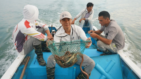 阿烽率领兄弟团出海,放千米长鳗鱼钩,光鱼饵就几十斤,大丰收了
