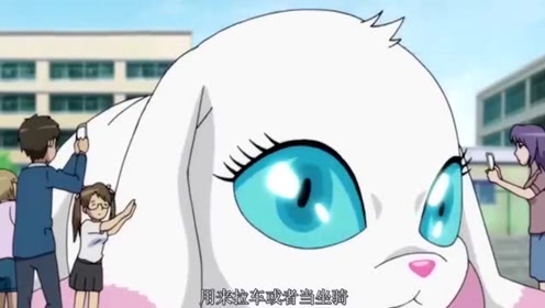 狐妖小红娘同样是赤瞳兔,苏苏的一看就比雅雅高级!