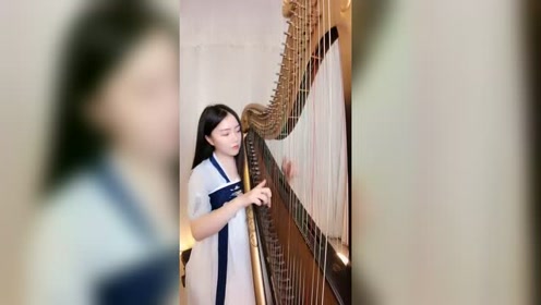 乐器达人箜篌演奏《清明上河图》,空灵优雅,实在太好听了!