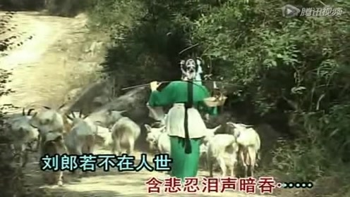 潮剧选段《金花牧羊》演唱:吴奕敏