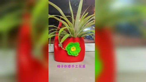 洗衣液瓶做创意花瓶,可以养富贵竹等一些水培花,美观实用