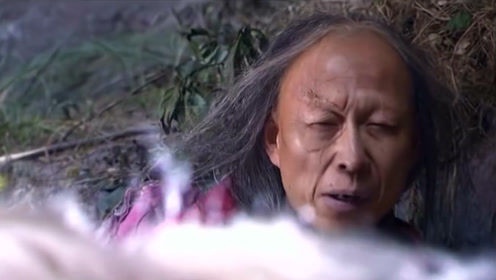 神雕侠侣:一翁老头也是绝情谷高手,谁知裘千尺一颗石头把他解决