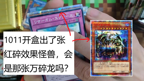 游戏王:1011开盒爆了张红碎效果怪,会是那张万碎龙吗?