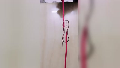 这是电工的小妙招,看似简单的电工结,你们都学会了吗?
