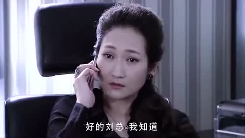 谎言背后:老总送情人贵重礼物;被富婆查出!美女接下来就惨了!