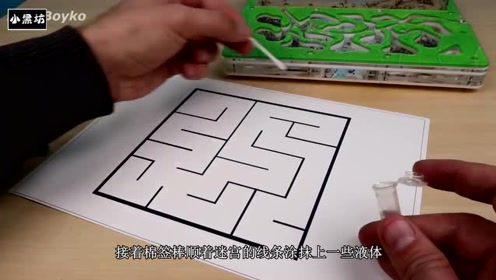把蚂蚁放进复杂的迷宫里,看看它能逃出来吗?