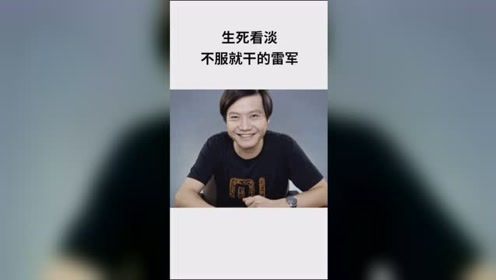 生死看淡不服就干的雷军