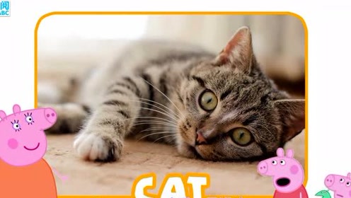快乐英语小猪佩奇认识农场动物马和猫咪吗儿童英语学习