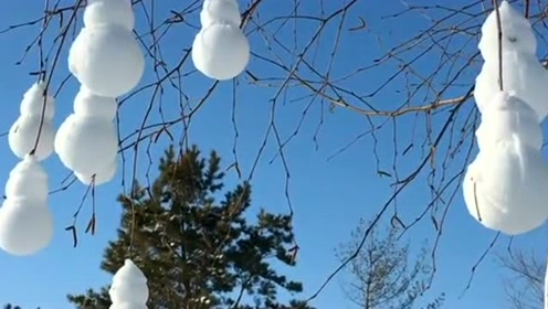 这年头雪人都上树了,长在树上的雪人,街边最美的风景线!