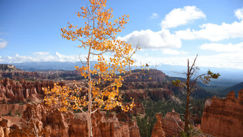 美国布莱斯峡谷国家公园 天然石俑的奇妙殿堂